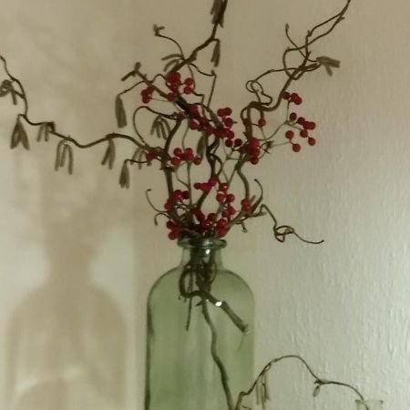 Ferienhaus Erika 말니츠 외부 사진